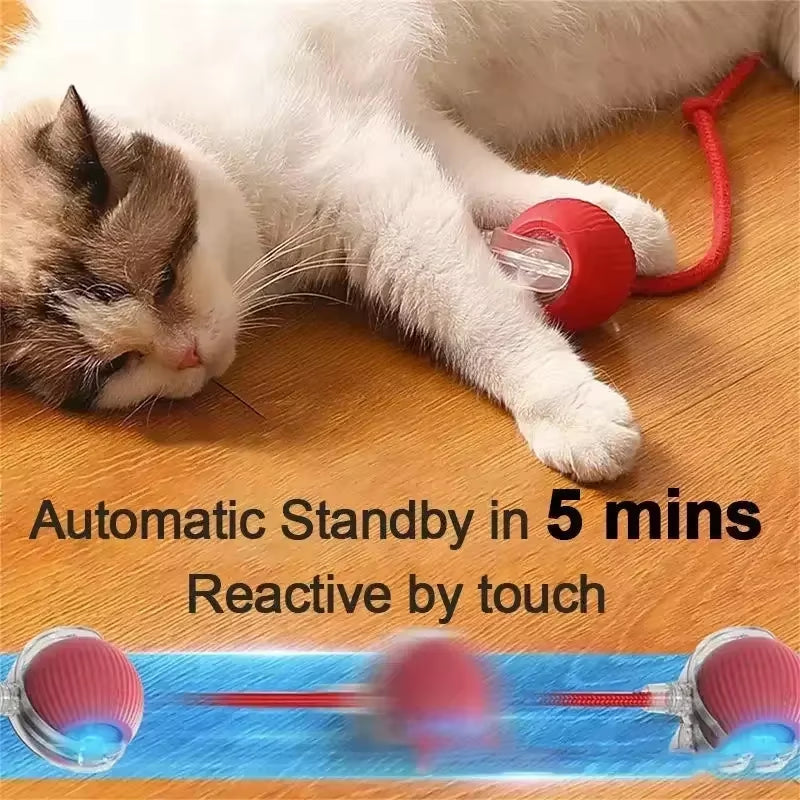 Rechargeable Interactive Rolling Ball Toy for Dogs & Cats – Automatic Motion with Faux Tail for Playtime Stimulation