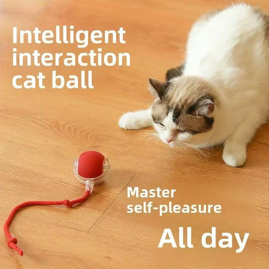 Rechargeable Interactive Rolling Ball Toy for Dogs & Cats – Automatic Motion with Faux Tail for Playtime Stimulation
