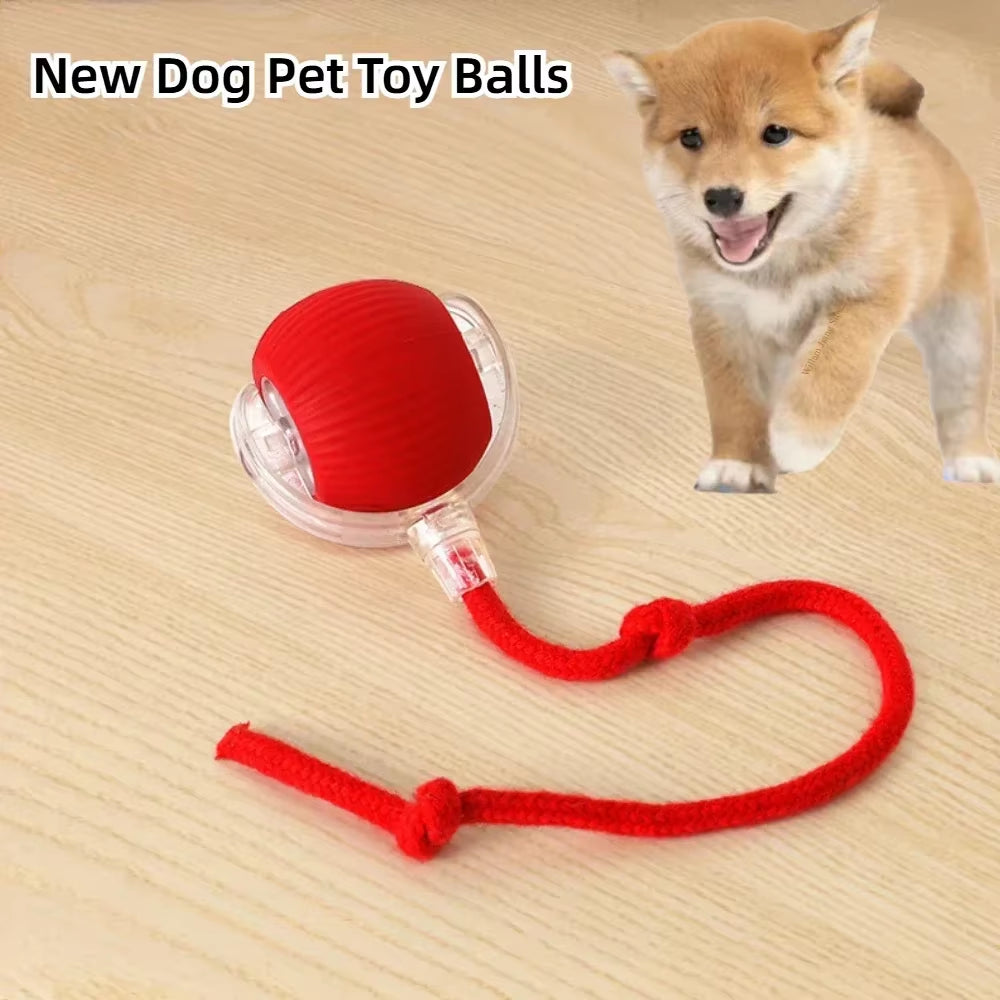 Rechargeable Interactive Rolling Ball Toy for Dogs & Cats – Automatic Motion with Faux Tail for Playtime Stimulation