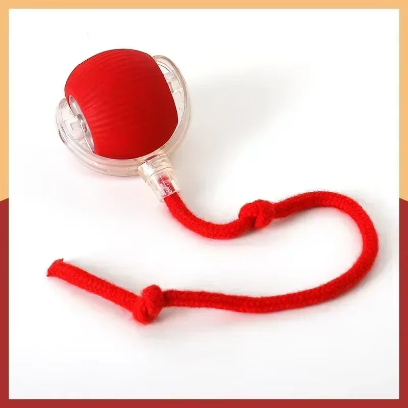 Rechargeable Interactive Rolling Ball Toy for Dogs & Cats – Automatic Motion with Faux Tail for Playtime Stimulation